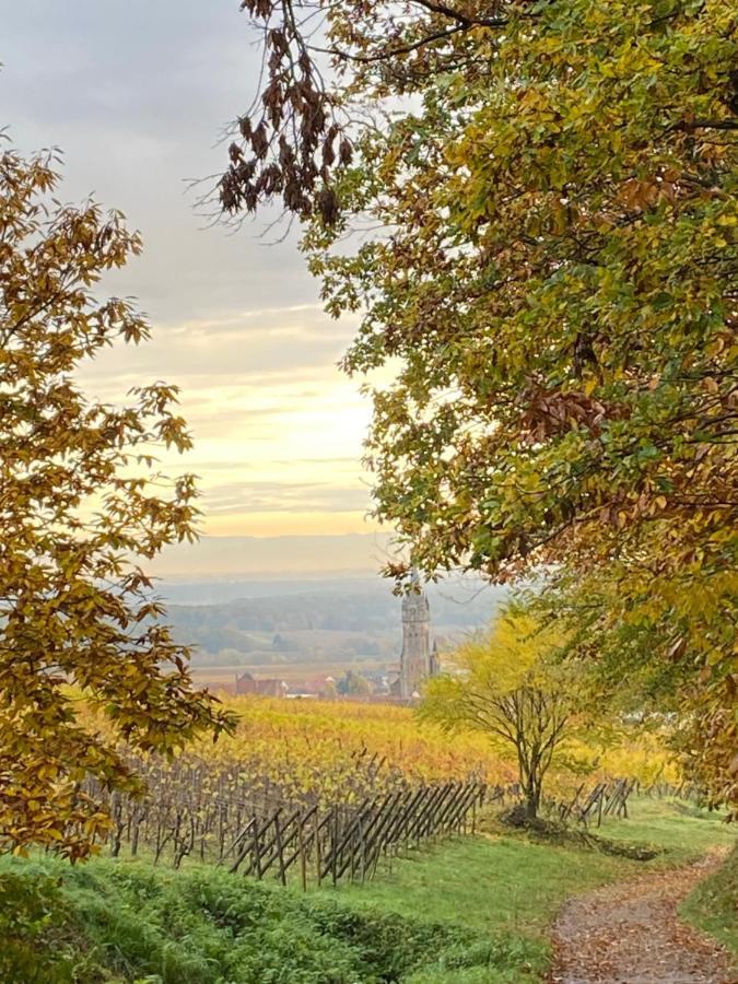 Gite Des Forgerons Dambach Extérieur photo