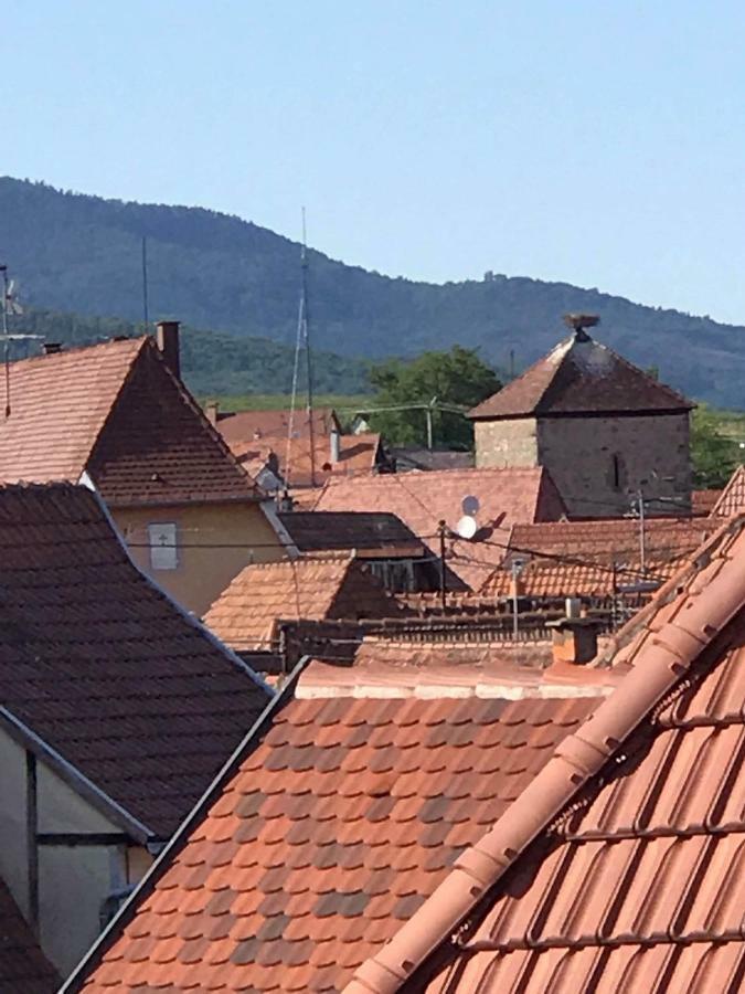 Gite Des Forgerons Dambach Extérieur photo